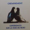 Cheminement. Expériences sur la voie du Reiki-0