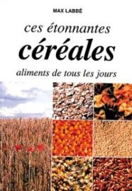 Ces étonnantes céréales, aliments de tous les jours-0
