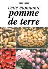 Cette étonnante pomme de terre-0