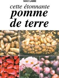 Cette étonnante pomme de terre-0