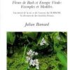 Fleurs de Bach et énergie vitale: exemples et modèles-0