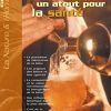 La bière, un atout pour la santé-0