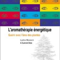 L'aromathérapie énergétique-0