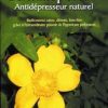 Le millepertuis, antidépresseur naturel-0