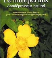 Le millepertuis, antidépresseur naturel-0