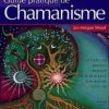 Guide pratique de chamanisme -0