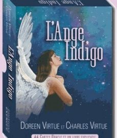 L'ange Indigo-0