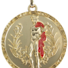 Médaille du Bouclier d'Hermès-0